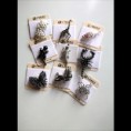 /album/fotogaleria-co-ponukame/a1-jpg/